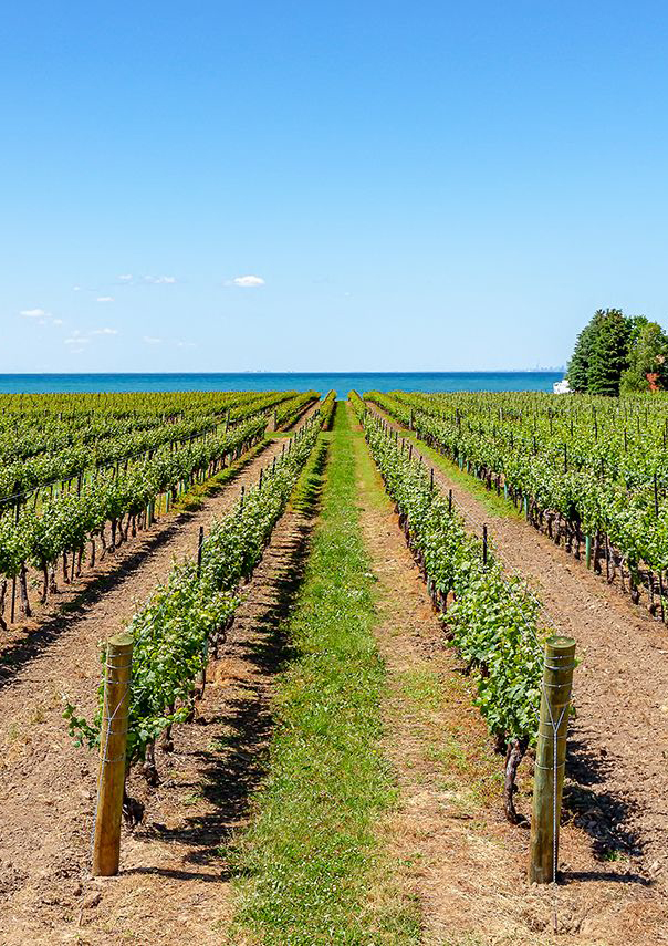 travel from halifax to cape breton island