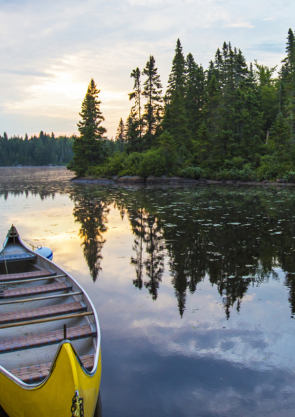 travel from halifax to cape breton island