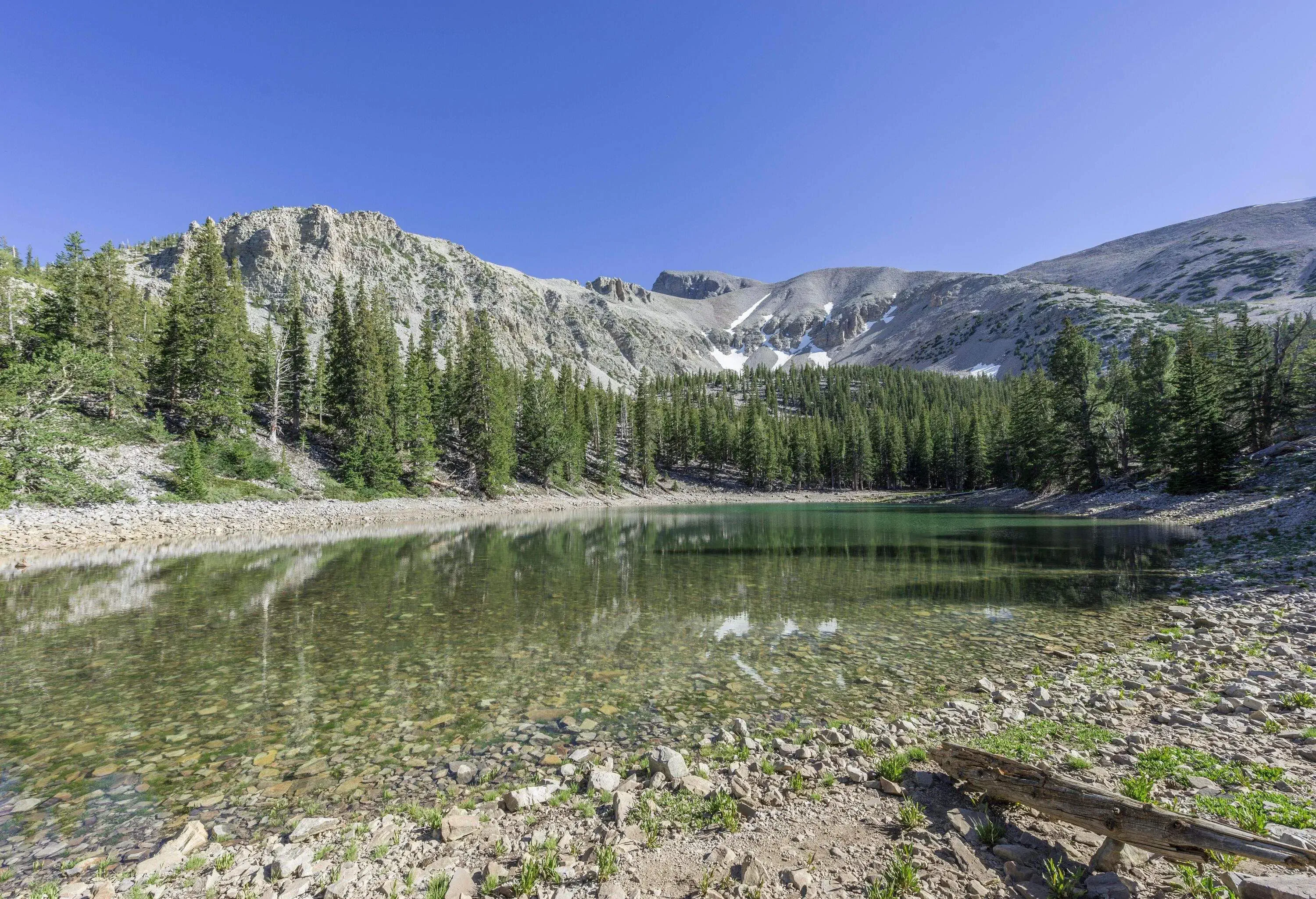 A tranquil lake surrounded by tall green trees beneath the rocky mountain range under the clear blue sky.