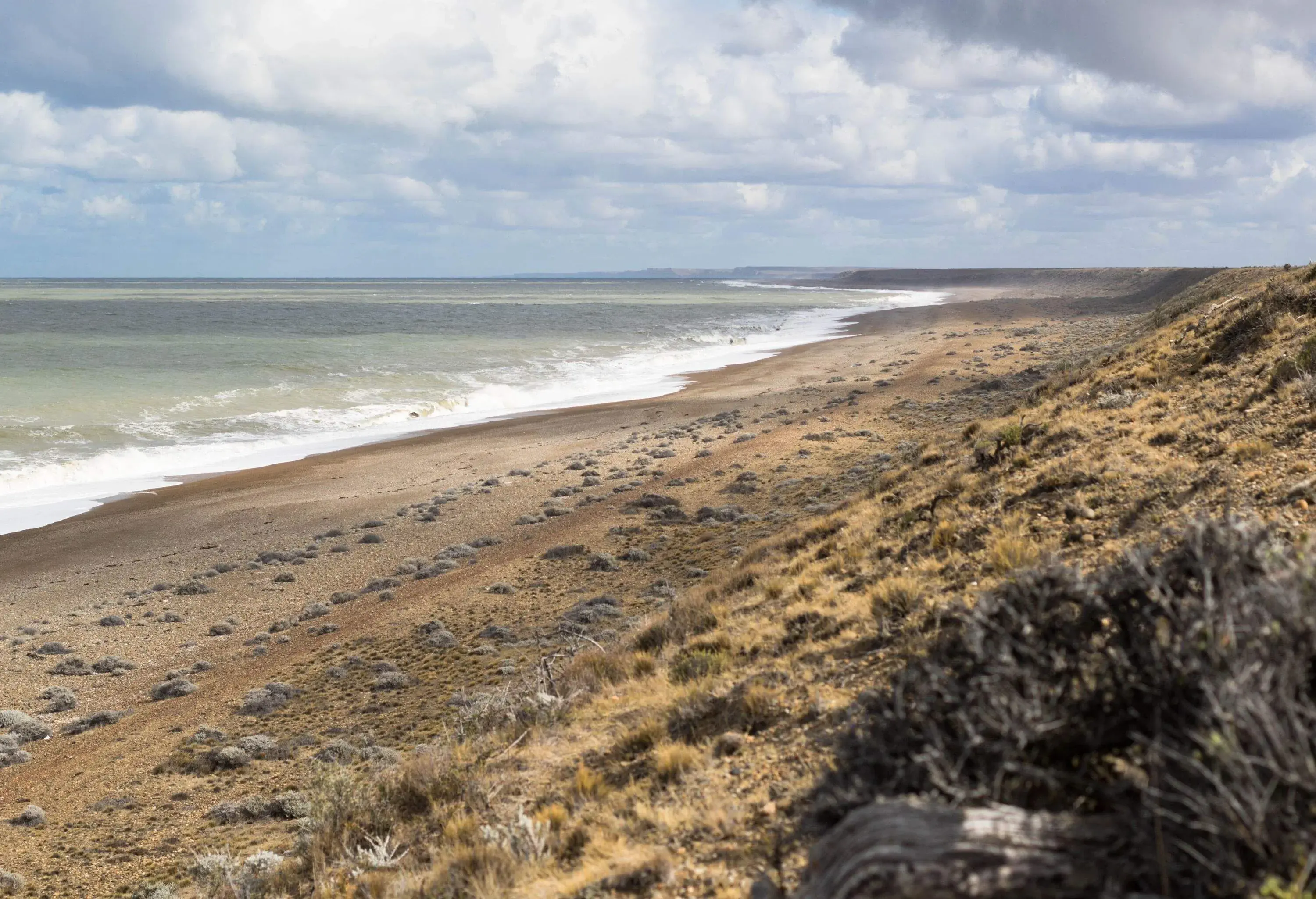 Wild beach of the puerto san julian peninsula provincial reserve, argentina on a cloudy day