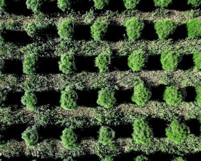 Marijuana travel guide: North America’s top pot spots