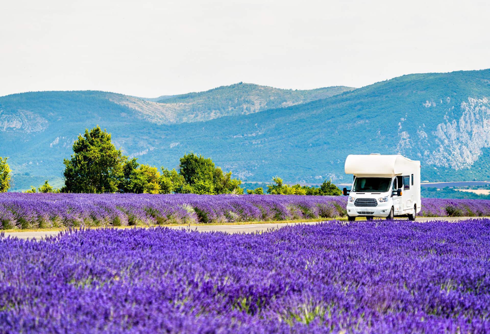 dest_france_provence_theme_camper_van_rv_roadtrip_travel_lavendar-flowers-shutterstock-portfolio_1212213253_universal_within-usage-period_80762