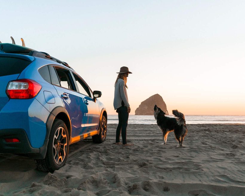 Everything you need to know about road trips with a dog