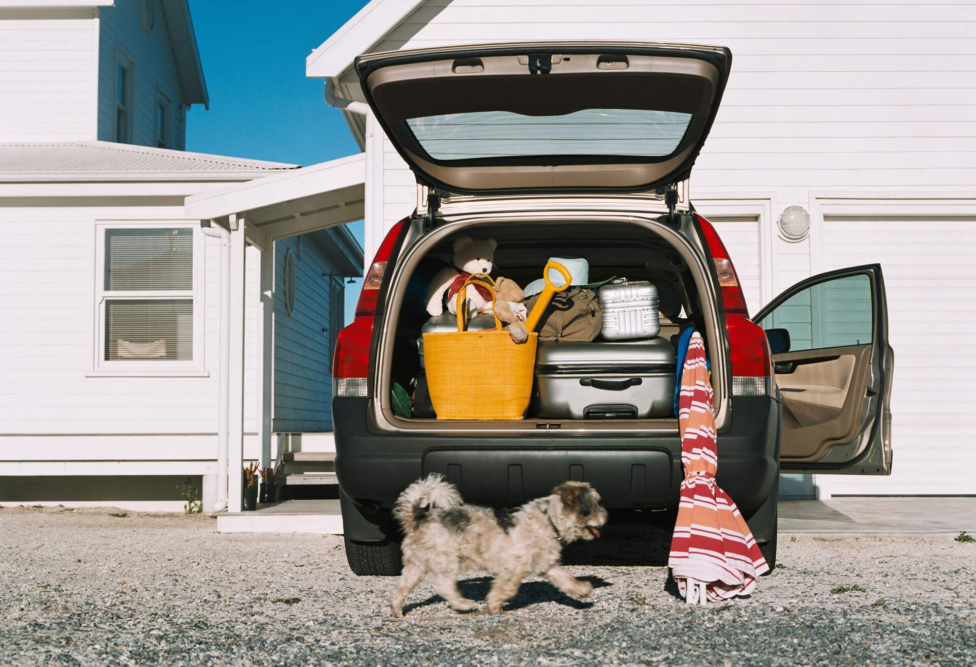 theme_luggage_car_dog_gettyimages-56181232_universal_within-usage-period_82212