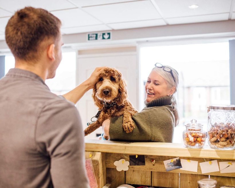 How to find a pet-friendly hotel