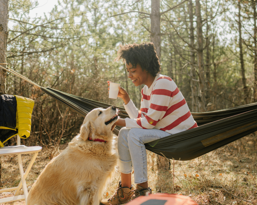 Tips for camping with dogs