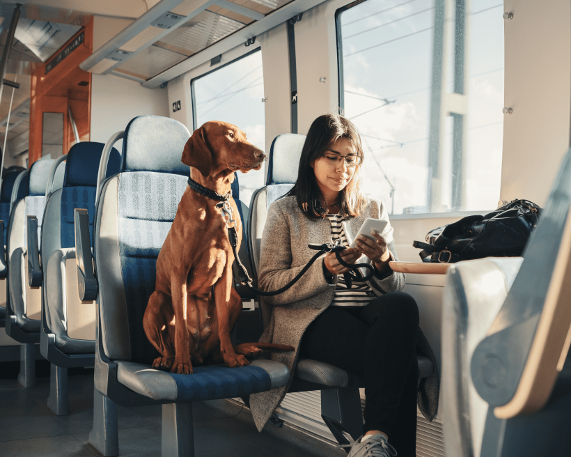 Train tips for you and your pet