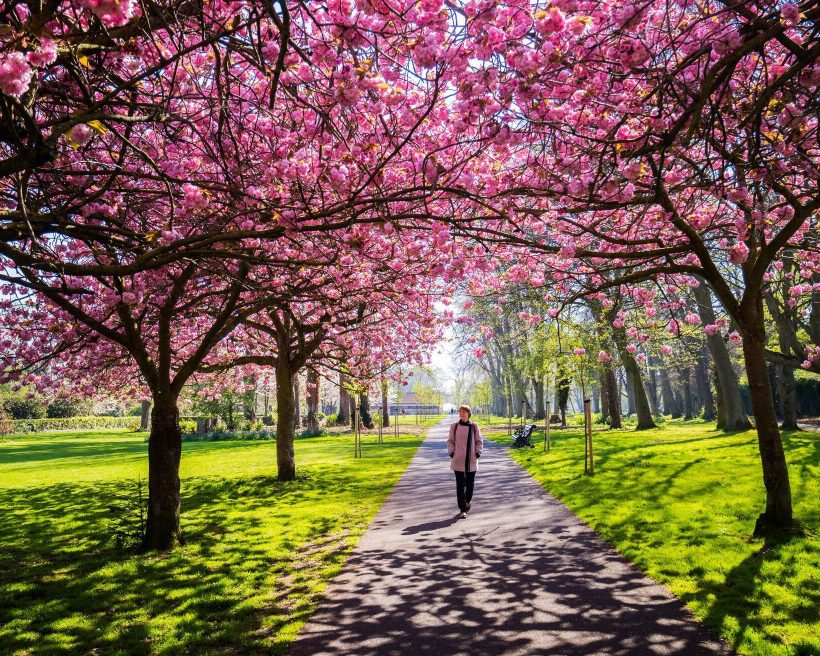 Gay in Dublin: The ultimate guide