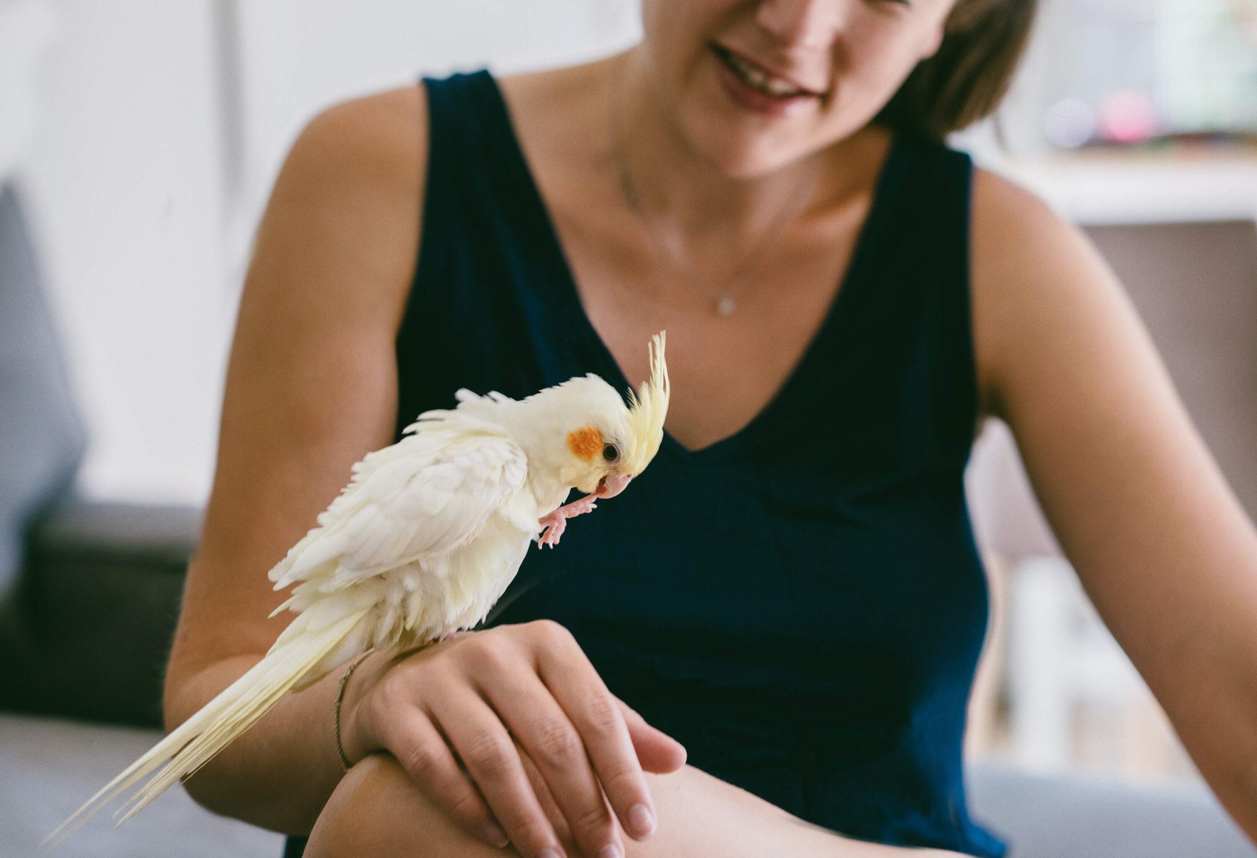 theme_animal_petes_bird_parrot_woman_gettyimages-815356630