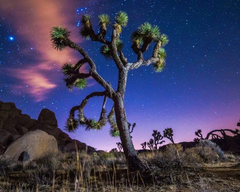 The best Dark Sky Parks for stargazing in 20242025 KAYAK