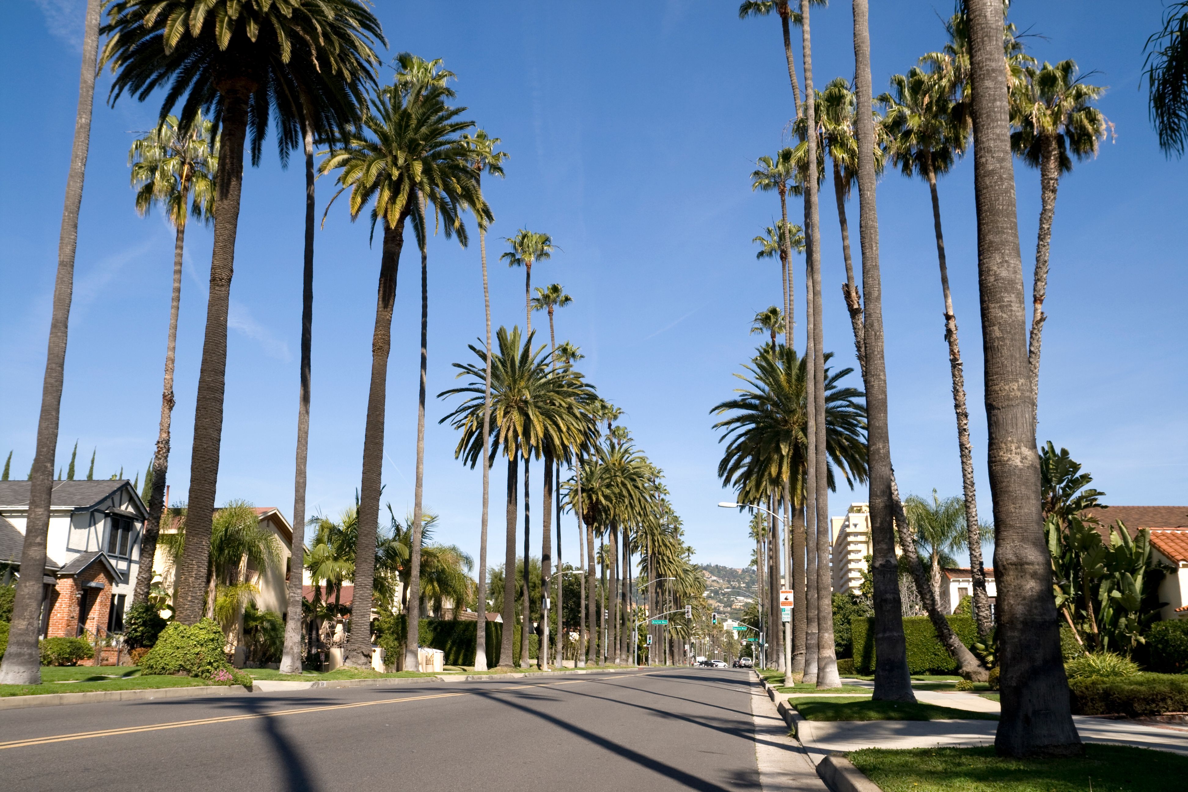 Beverly Hills car rentals