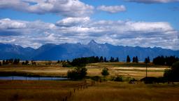Find cheap flights from Switzerland to Cranbrook