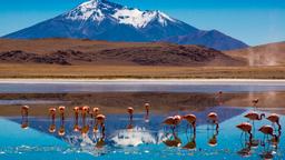Find cheap flights to Bolivia