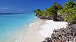 Find cheap flights from Ontario to Tanzania