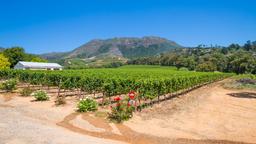 Bellville car rentals