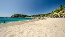 Find cheap flights to Manzanillo