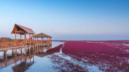 Panjin Hotels