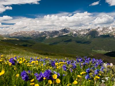 Breckenridge