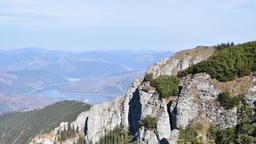 Piatra Neamţ car rentals