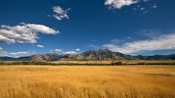 Find cheap flights from Vancouver Airport to Montana