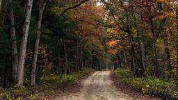 Allegan Hotels