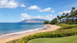 Wailea car rentals