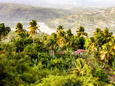 Jacmel
