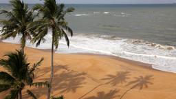 Find cheap flights from Ontario to Colombo