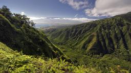 Find cheap flights from Québec City to Kahului