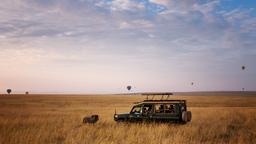 Find cheap flights to Kenya