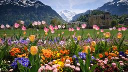 Interlaken Hotels