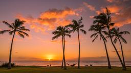Find cheap flights from Detroit to Honolulu
