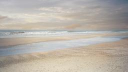 Jacksonville car rentals