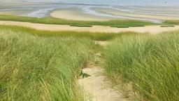 Find cheap flights from Nova Scotia to Cape Cod and the Islands