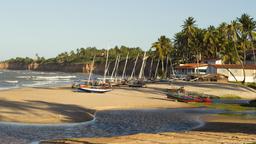 Find cheap flights from Quebec to Natal
