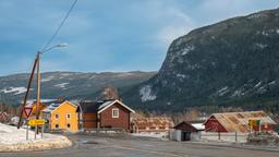 Ål hotels