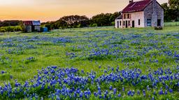 Find cheap flights from British Columbia to Texas
