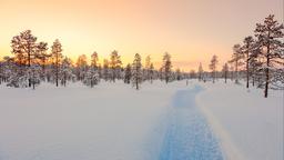 Lapland vacation rentals
