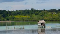 Tagbilaran hotel directory