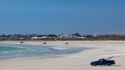 Wallaroo Hotels