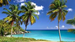 Find cheap flights from Toronto Island to Dominican North Coast