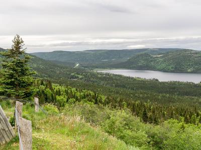 Deer Lake