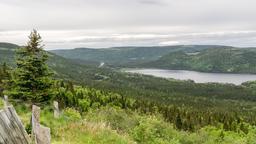Find cheap flights to Deer Lake