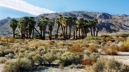 Twentynine Palms Hotels