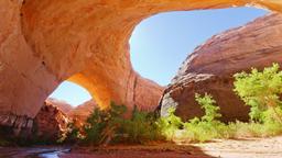 Escalante Hotels