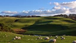 Lanark Hotels
