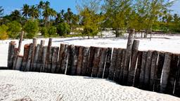 Find cheap flights from Edmonton to Tanzania