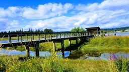 Find cheap flights from Vancouver to Campbell River