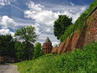Jarosław