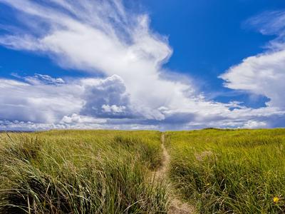 Ocean Shores